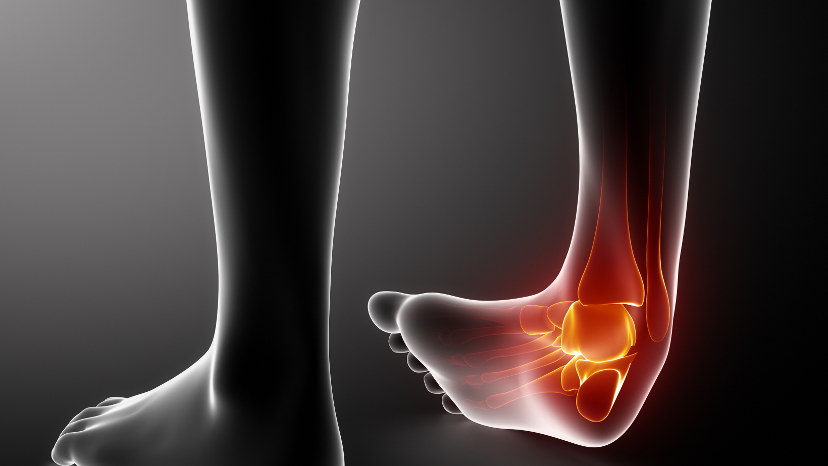 Ankle Pain Symptoms